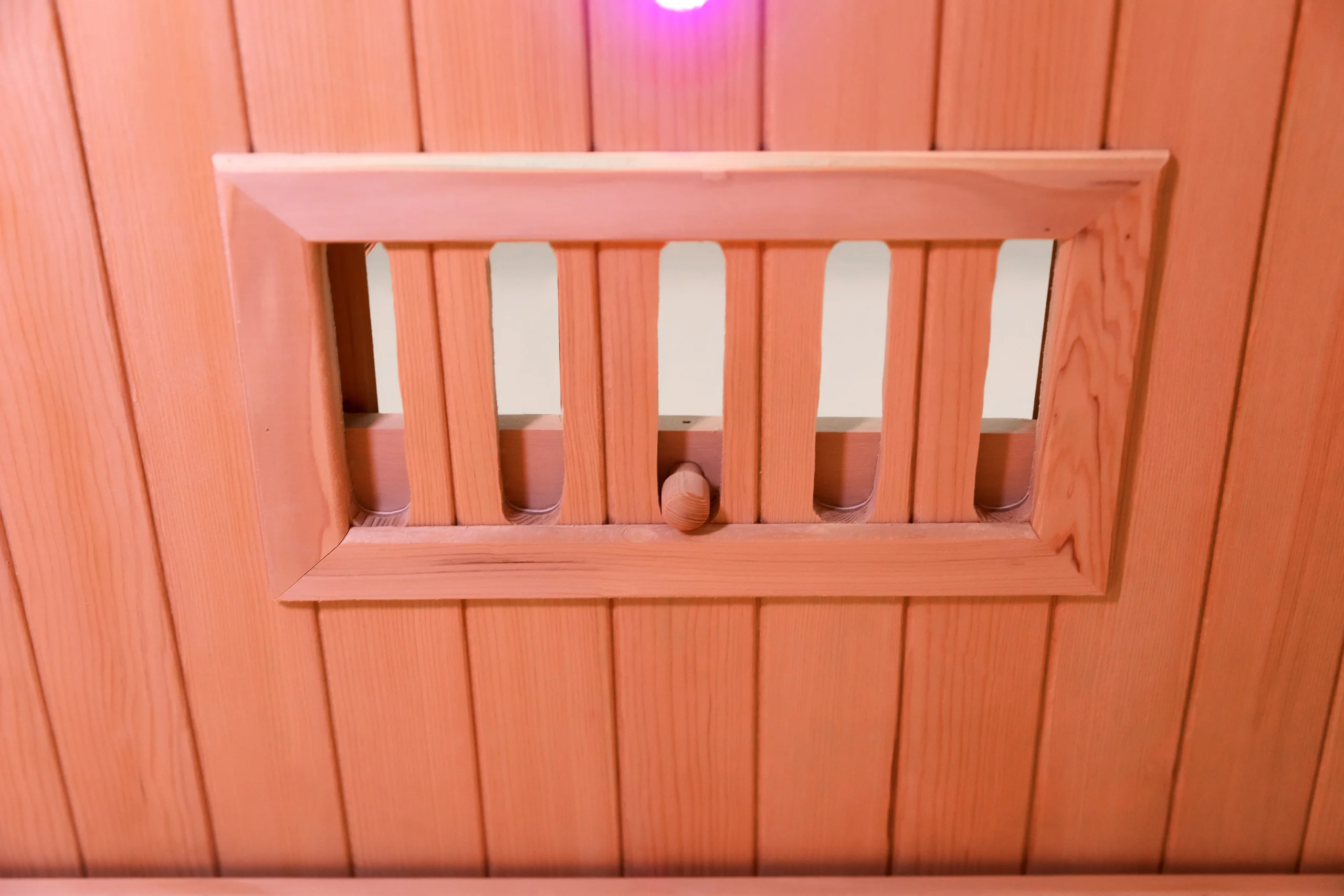 Cheap Custom 2 Person Traditional Indoor Sauna Supplier 006