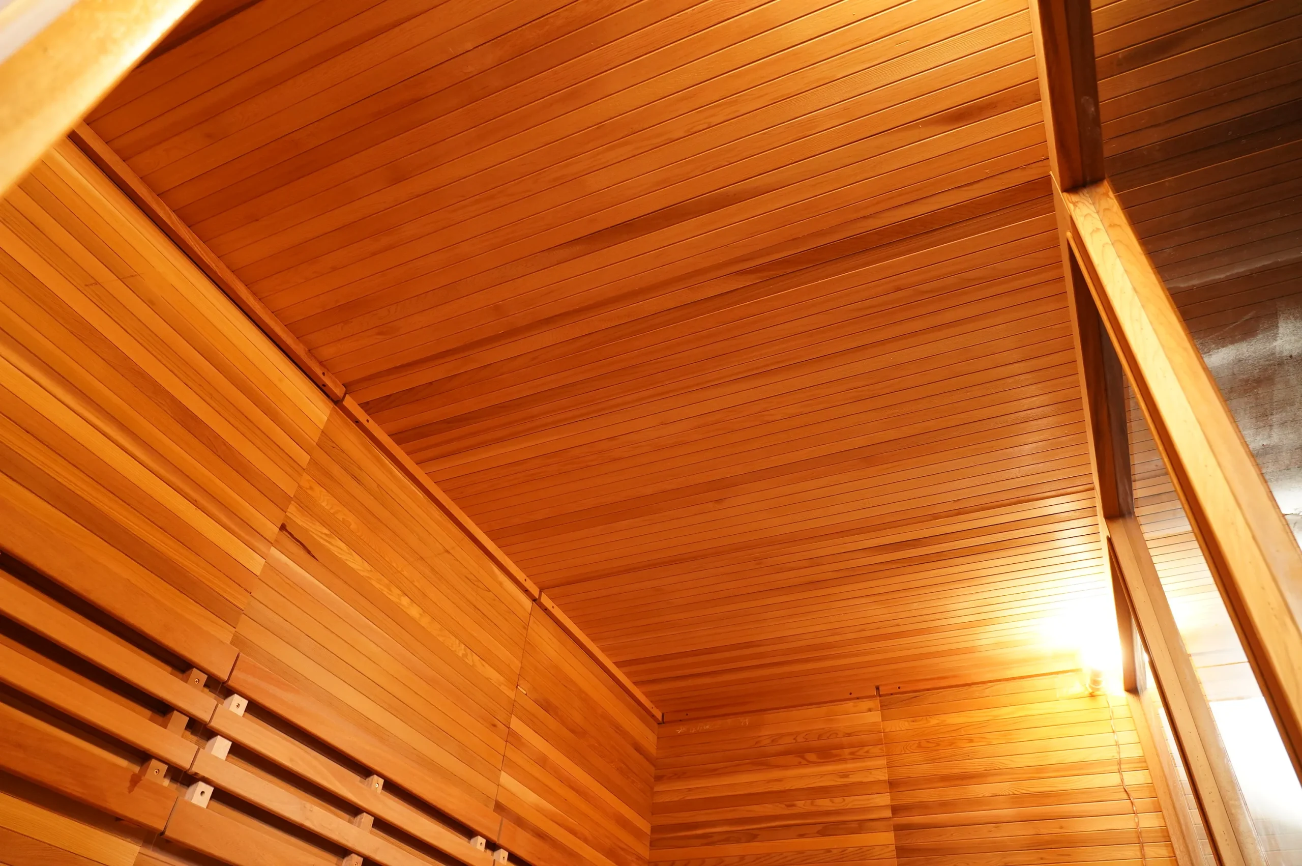 Custom Wholesale 6-8 Person Outdoor Dry Steam Traditional Sauna Room 008